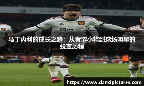 马丁内利的成长之路：从青涩小将到球场明星的蜕变历程