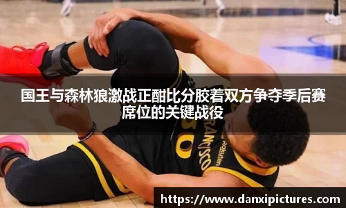 国王与森林狼激战正酣比分胶着双方争夺季后赛席位的关键战役