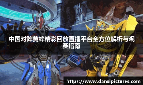 中国对阵黄蜂精彩回放直播平台全方位解析与观赛指南