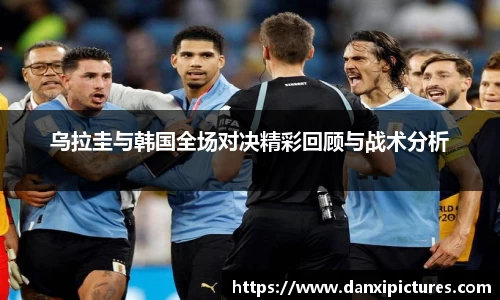 球速体育官网